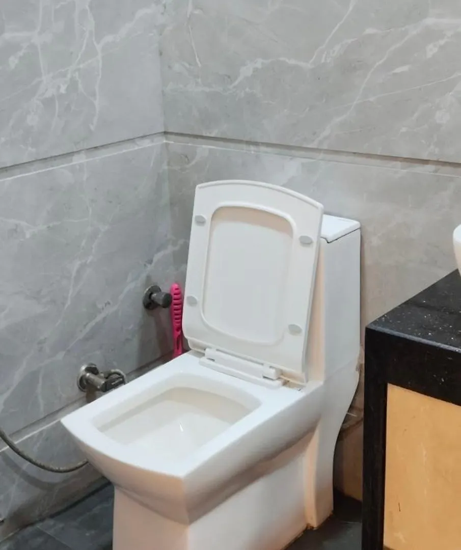 Hotel Np Palace Agra  Apartment Agra (Uttar Pradesh)